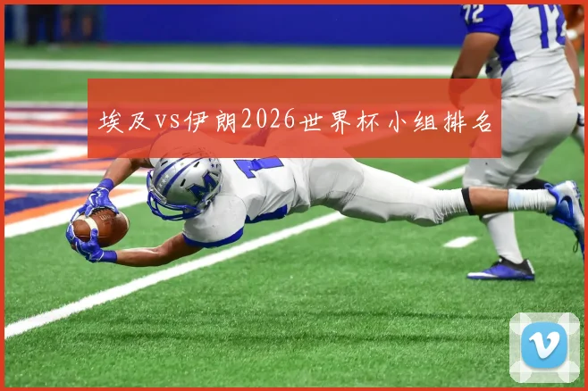 埃及vs伊朗2026世界杯小组排名