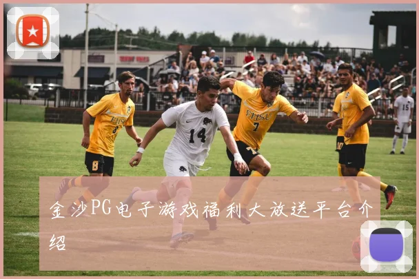 金沙PG电子游戏福利大放送平台介绍