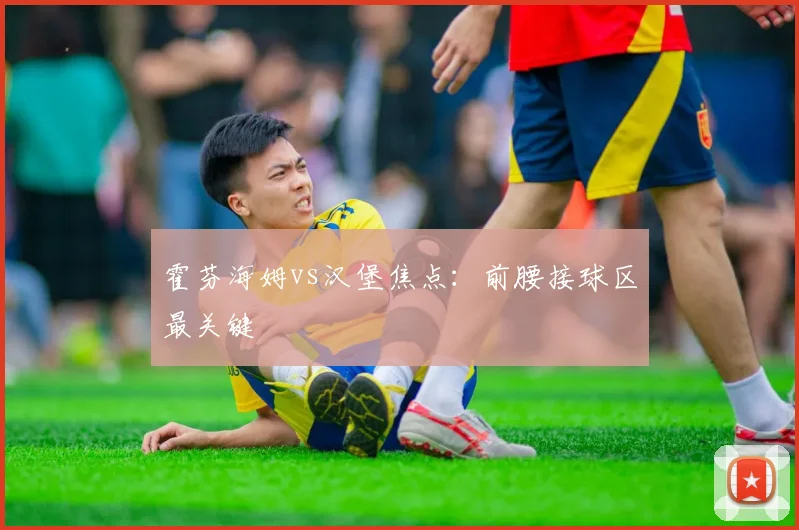 霍芬海姆vs汉堡焦点:前腰接球区最关键