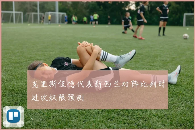 克里斯伍德代表新西兰对阵比利时进攻权限预测