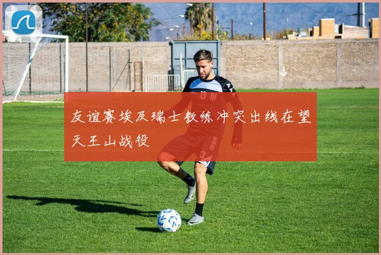 友谊赛埃及瑞士教练冲突出线在望天王山战役