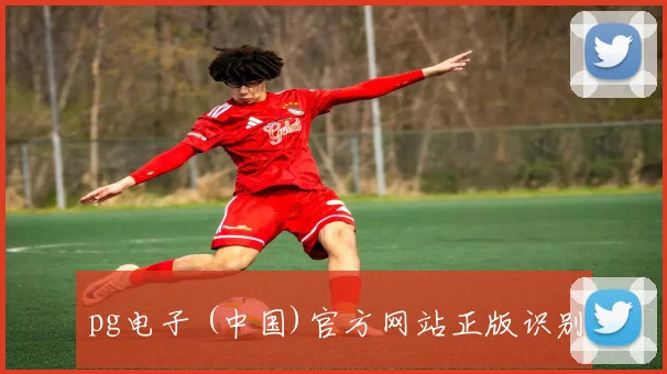 pg电子 (中国)官方网站正版识别