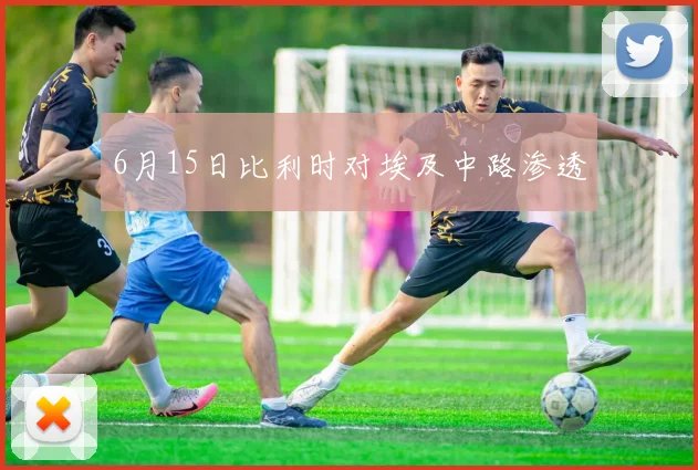 6月15日比利时对埃及中路渗透