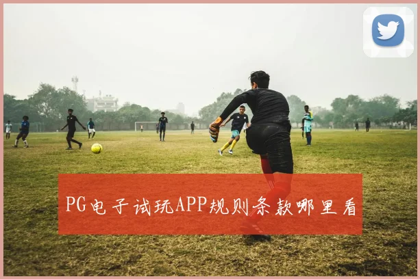 PG电子试玩APP规则条款哪里看