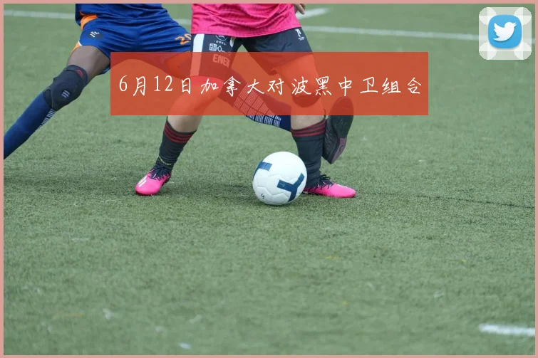 6月12日加拿大对波黑中卫组合