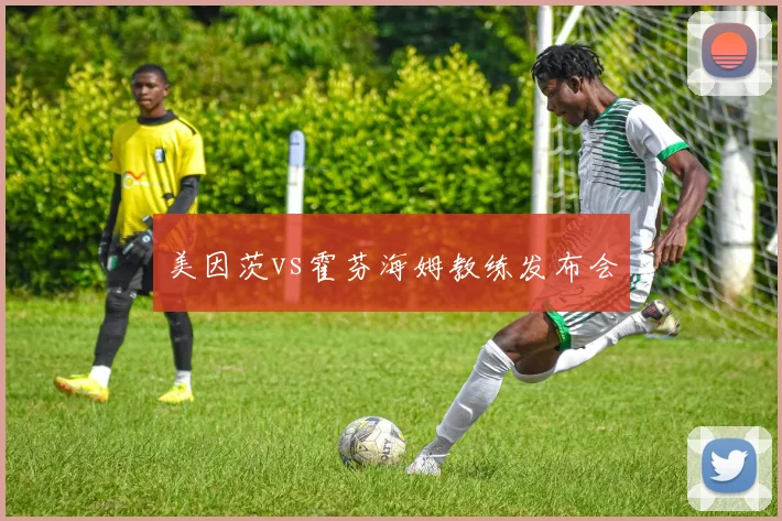 美因茨vs霍芬海姆教练发布会