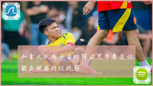 加拿大队布坎南对阵波黑节奏变化能否破局对位观察
