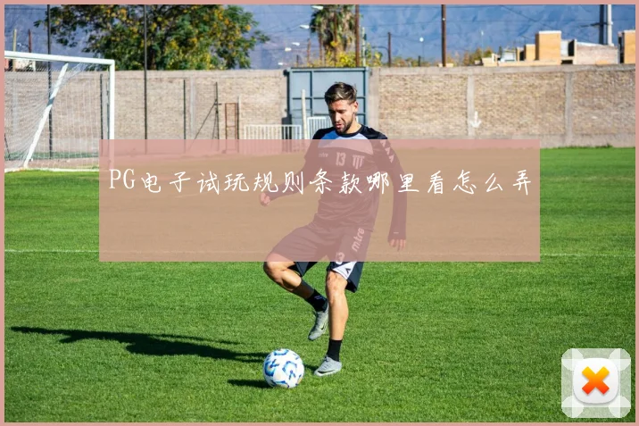 PG电子试玩规则条款哪里看怎么弄